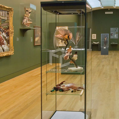 T5 LED Wall Mounted Museum Display Showcase 1.2cm Thick Tempered Glass