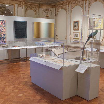 10mm Tempered Glass Museum Display Showcase With T5 LED Lighting